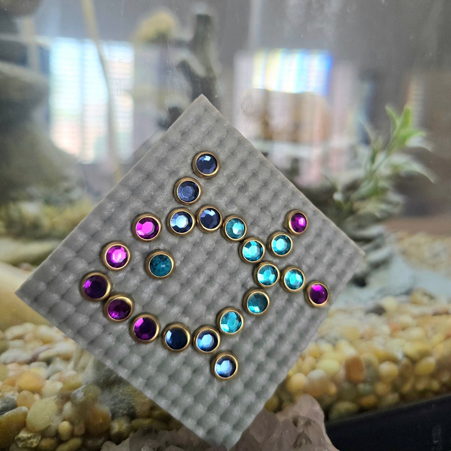 Fancy Fish Limited-Edition